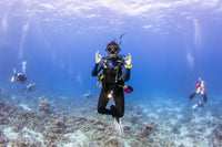OPEN WATER DIVER COURSE - PADI