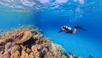 SCUBA DIVER COURSE - PADI